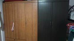 Blk 248 Gombak View (Bukit Batok), HDB 3 Rooms #559902211